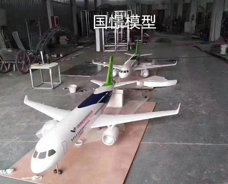 罗田县飞机模型